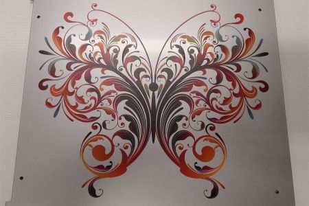 Motyl 1